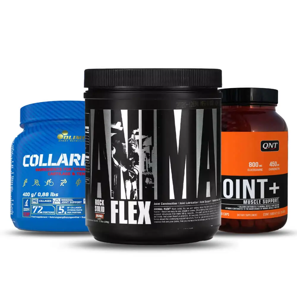 Bone Joint Support